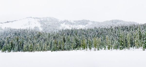 Wild, Jamie and Judy 아티스트의 Washington State-Central Cascades Winter at frozen Olallie Lake작품입니다.